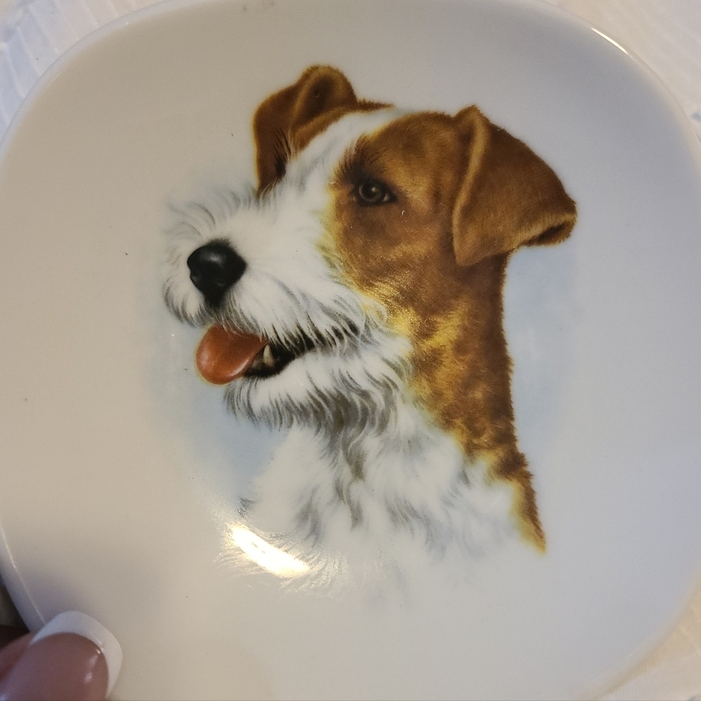 Bavaria Schumann Arzberg Terrier Dog Plate #44